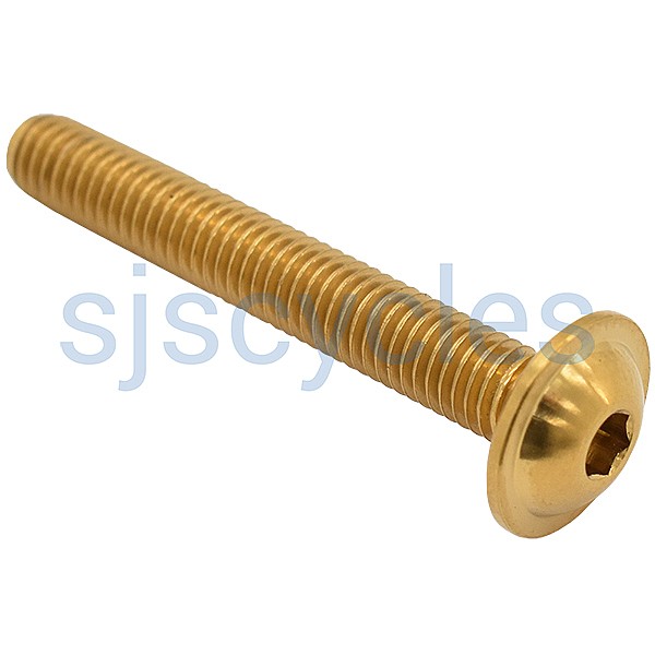 chain tensioner bolt