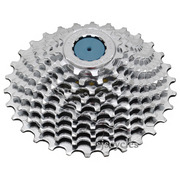 campy 10 speed cassette